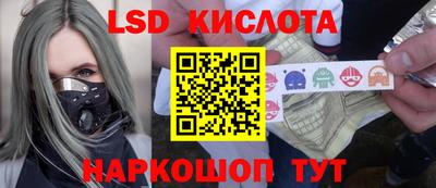 Альфа ПВП Ставрополь