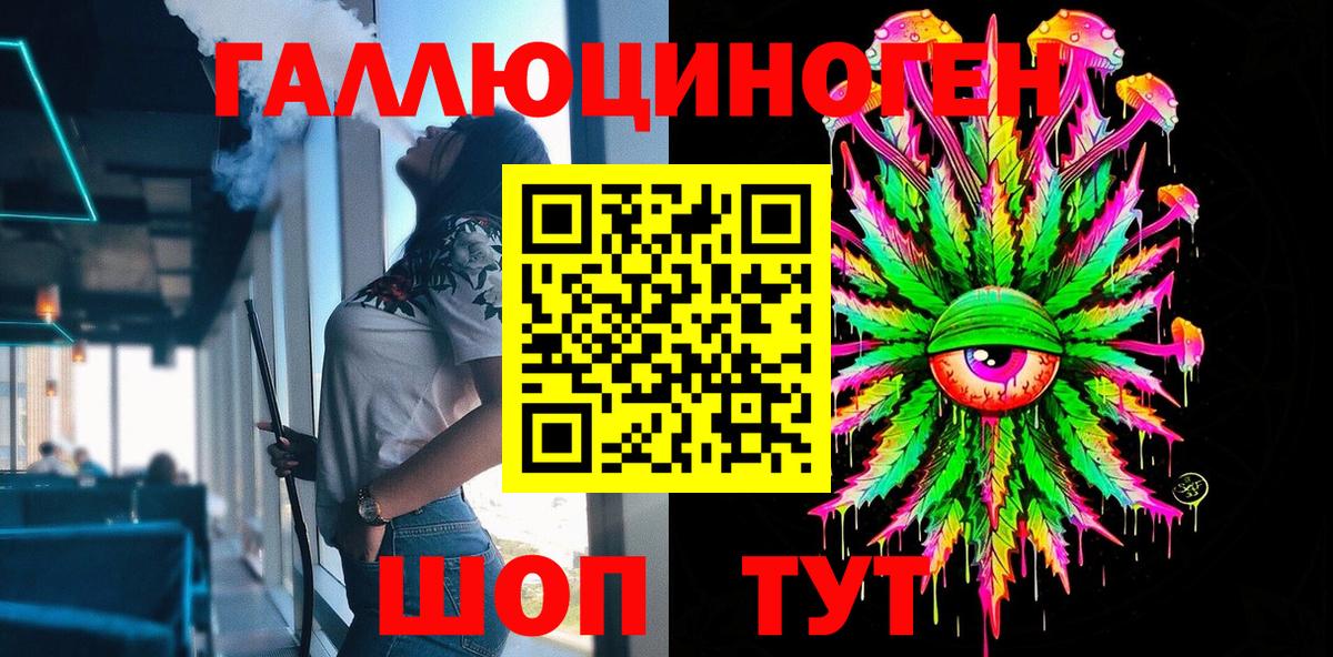 Галлюциногенные грибы Psilocybe Омск